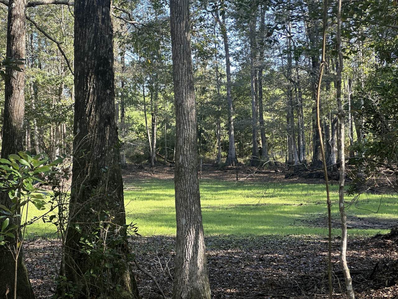 Parcel E Millside Road - Photo 1