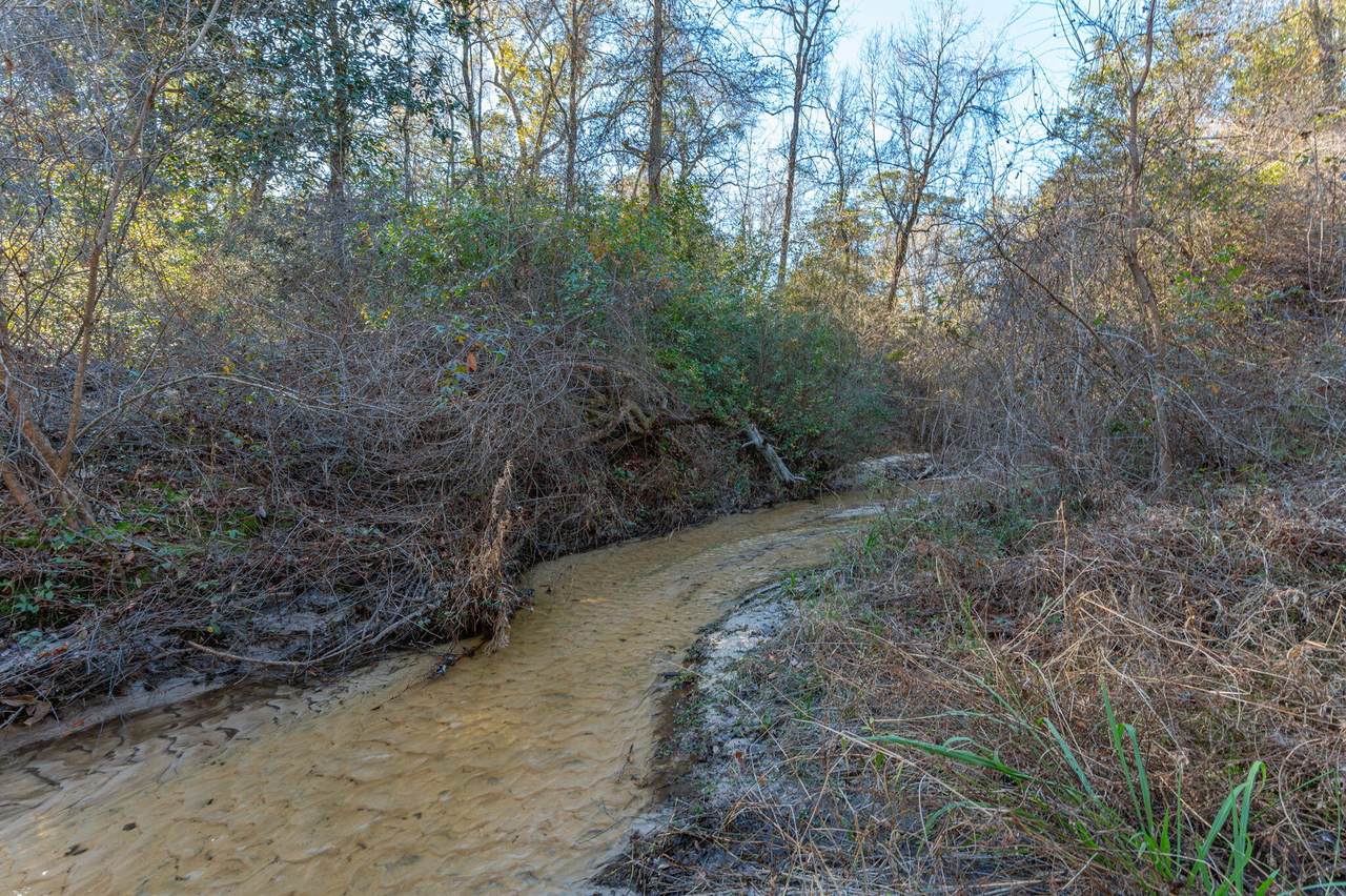 746 Davidson Road - Photo 1