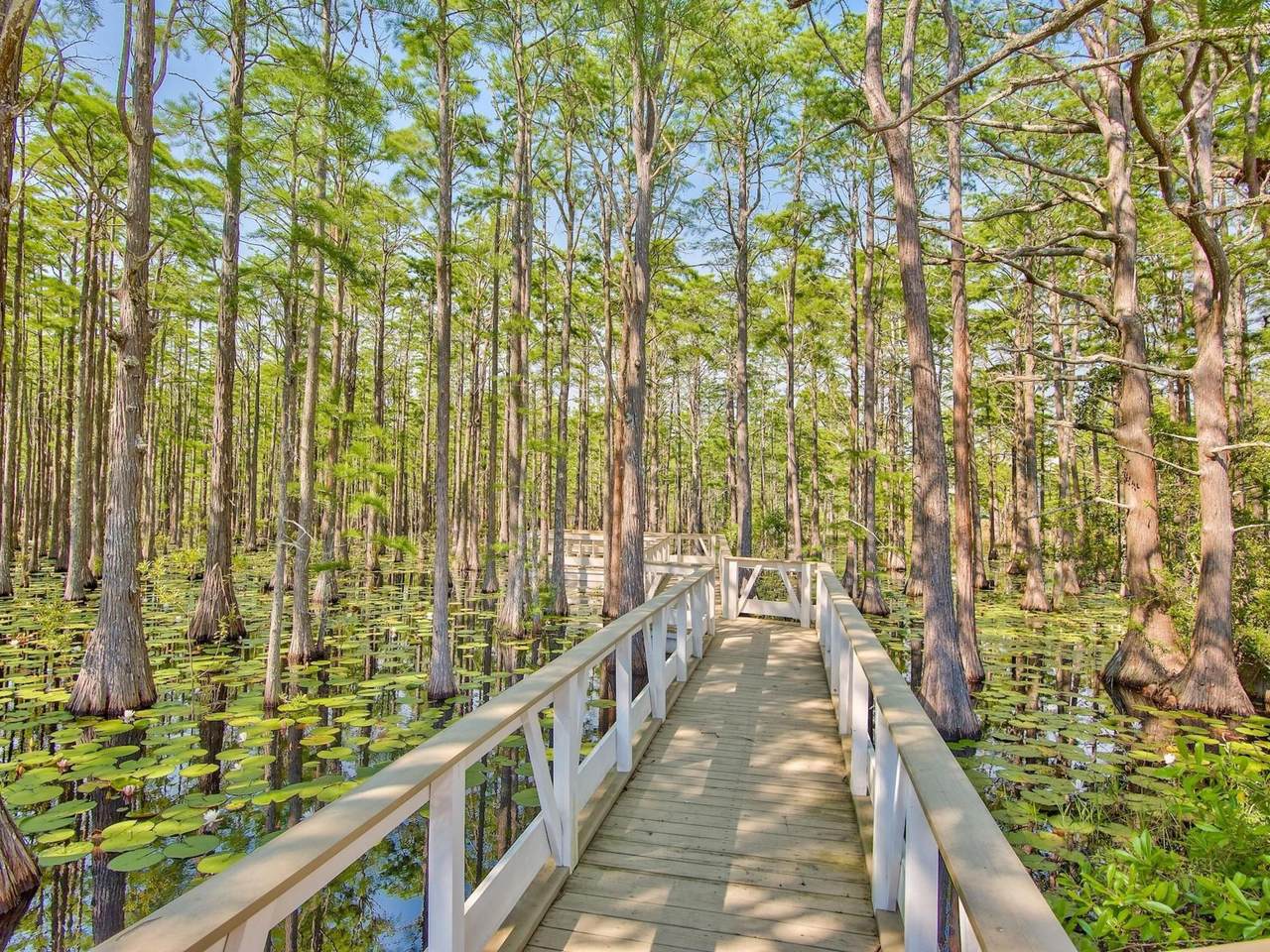 Lot 6 Cypress Drive - Photo 1