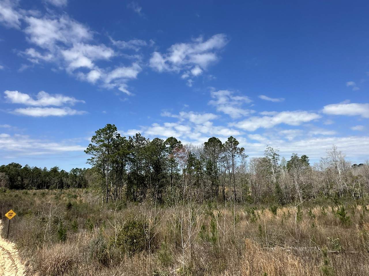 Tract#6409 Davis Road - Photo 1