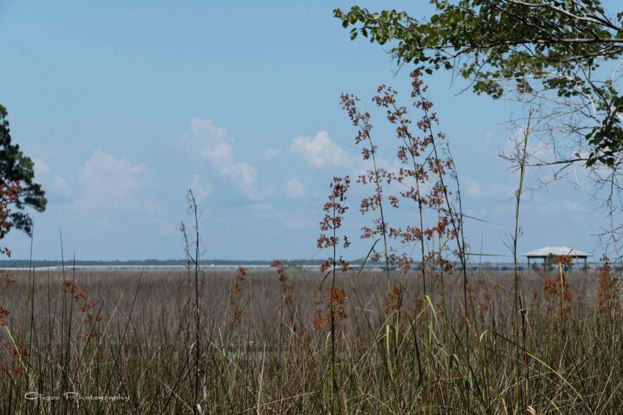 Lot 22 Taurus Drive - Photo 1