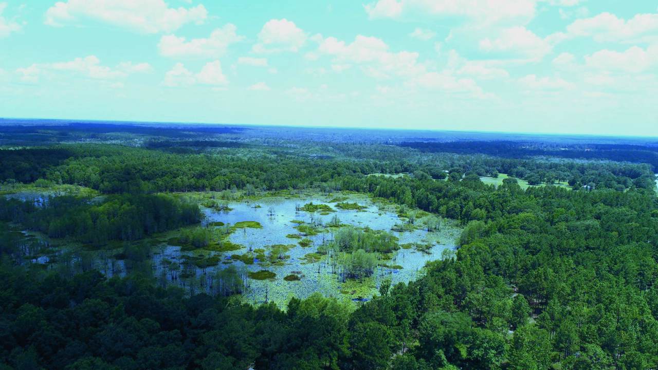 166 ac Co Highway 147 - Photo 1
