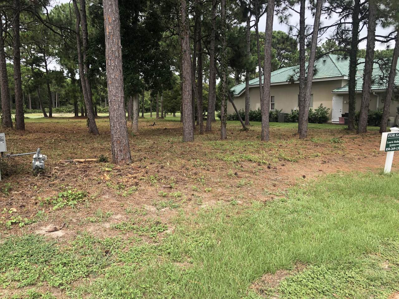 778 Indigo Loop - Photo 1