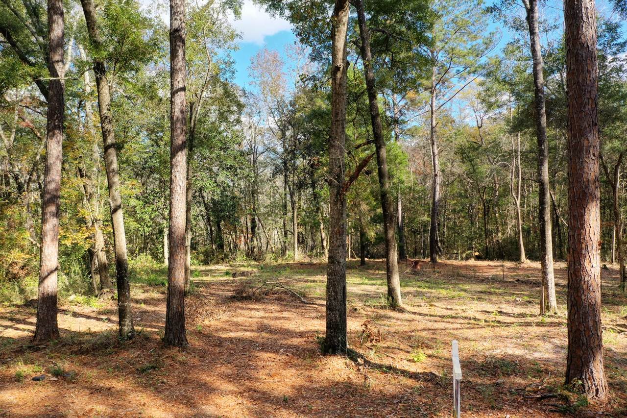 173 Tubbs Lane - Photo 1