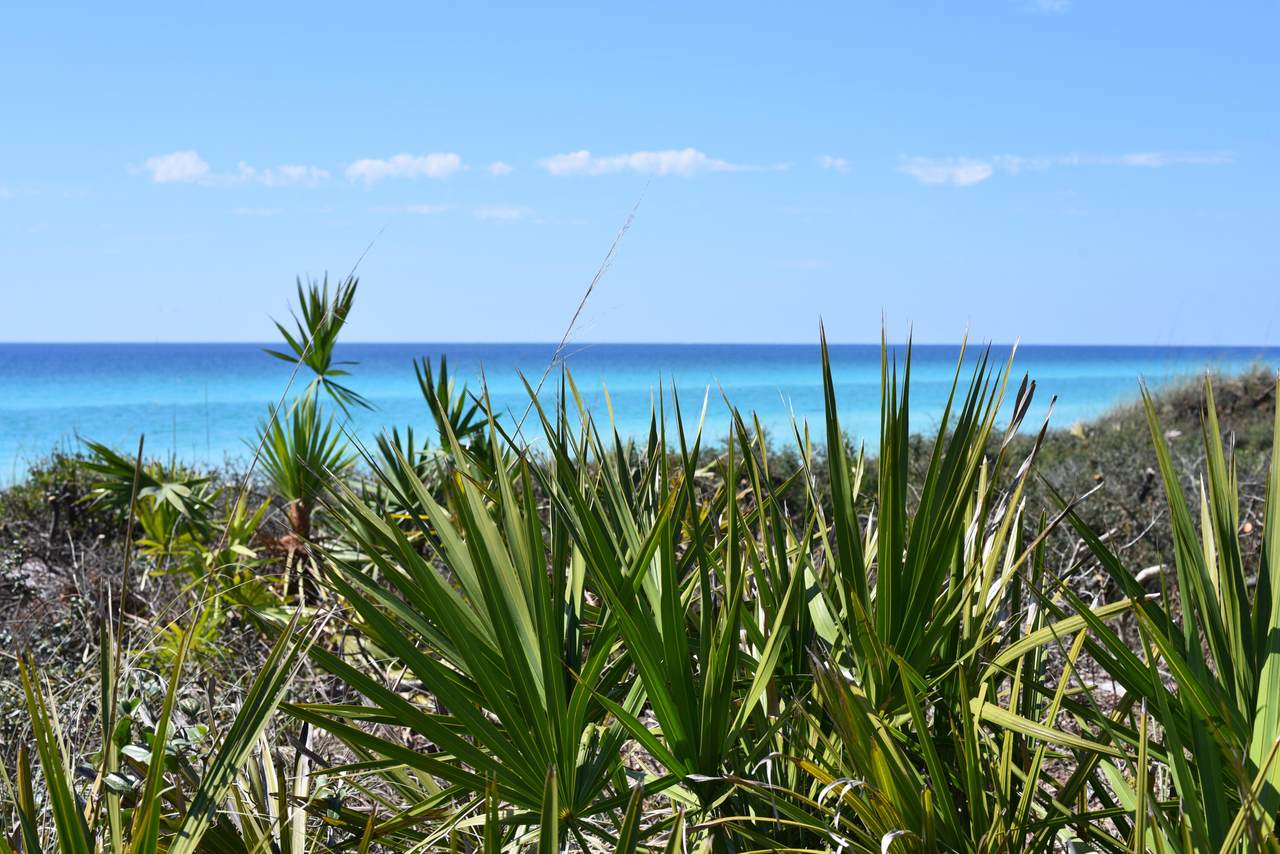 206 Henderson Resort Way - Photo 1