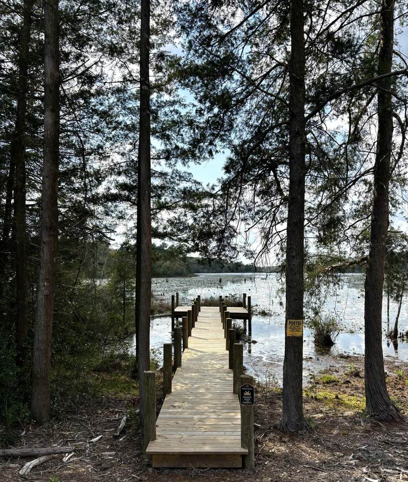 15 Holly Lake Court - Photo 1