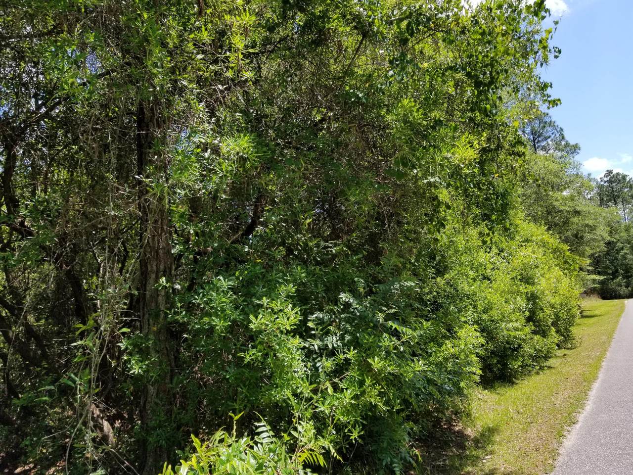 5. 6 acres Mallett Bayou Rd - Photo 1