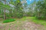 87 Tangelo Street - Photo 2