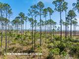 7503 Sunset Bay Lane - Photo 4