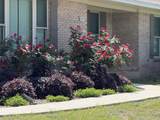 5981 Old Bethel Road - Photo 7