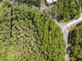 7628 Coastal Hammock Trail - Photo 17