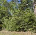 10 Acres Bob Sikes Road - Photo 2