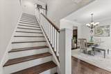 202 Alconese Avenue - Photo 48