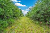 90 Acres Union Hill Road - Photo 10