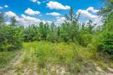 90 Acres Union Hill Road - Photo 11