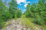 90 Acres Union Hill Road - Photo 12
