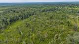 90 Acres Union Hill Road - Photo 13