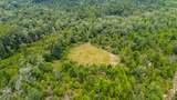 90 Acres Union Hill Road - Photo 16