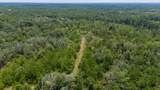 90 Acres Union Hill Road - Photo 21