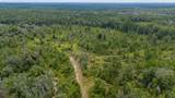 90 Acres Union Hill Road - Photo 22