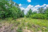 90 Acres Union Hill Road - Photo 4