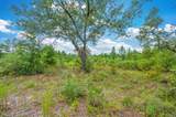 90 Acres Union Hill Road - Photo 6