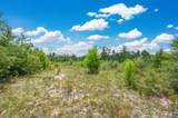 90 Acres Union Hill Road - Photo 7