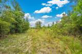 90 Acres Union Hill Road - Photo 9