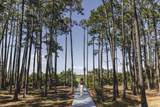 285 Twisted Pine Trail - Photo 46