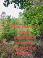 LOT 17 9th Lane - Photo 5