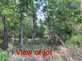 LOT 17 9th Lane - Photo 6