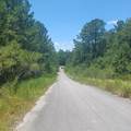 Lot 5 Pleasant Way - Photo 3