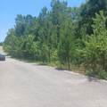 Lot 5 Pleasant Way - Photo 8