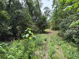 1436 Claxton Avenue - Photo 10