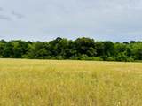 19 acres Highway 55 - Photo 1