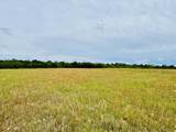 19 acres Highway 55 - Photo 10