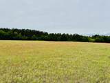 19 acres Highway 55 - Photo 11