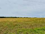 19 acres Highway 55 - Photo 12