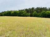 19 acres Highway 55 - Photo 2
