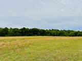 19 acres Highway 55 - Photo 3