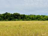 19 acres Highway 55 - Photo 4