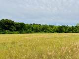 19 acres Highway 55 - Photo 5