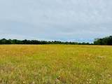 19 acres Highway 55 - Photo 9