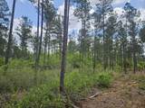 Lot 2 Rocky Creek Road - Photo 10