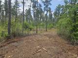 Lot 2 Rocky Creek Road - Photo 11