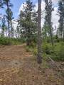 Lot 2 Rocky Creek Road - Photo 12