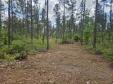 Lot 2 Rocky Creek Road - Photo 9