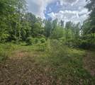 2000 Molino Road - Photo 8