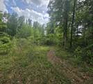 2000 Molino Road - Photo 9