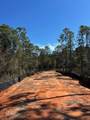 4481 Water Leaf Cove - Photo 1